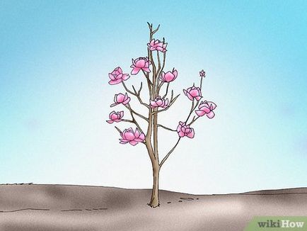 Cum se taie sulangul magnolie