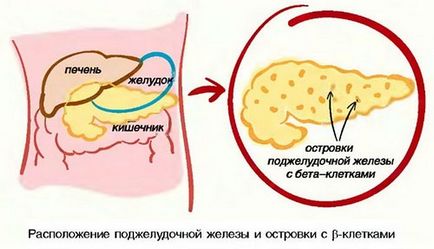 Як правильно бігати щоб схуднути як правильно дихати для схуднення, прибрати жир, живіт і боки