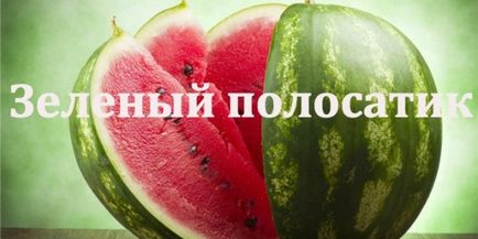 Hogyan válasszuk ki a görögdinnye 9 alaplapok