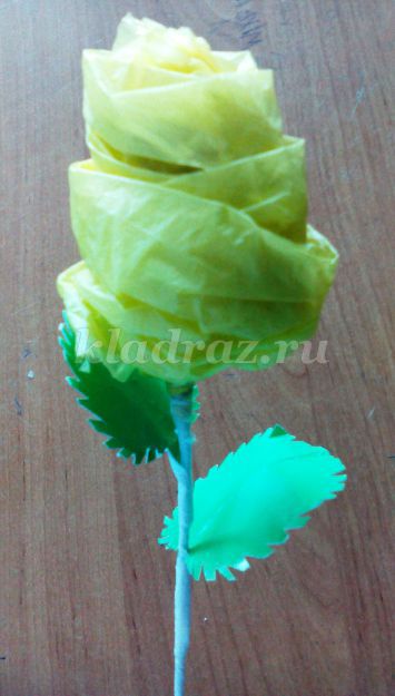 Hogyan tegyük egy rózsát a műanyag zacskók a kezüket