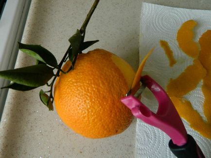 Cum sa faci o coaja si condimente dintr-o lamaie sau o portocala