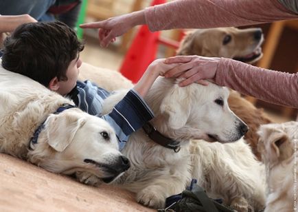 Як собаки допомагають хворим дітям