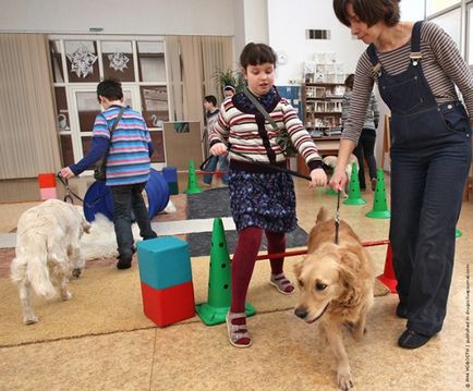 Як собаки допомагають хворим дітям