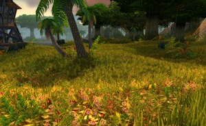 Cum de a îmbunătăți grafica în wow câteva sfaturi practice și comenzi, lumea de Warcraft - addons,