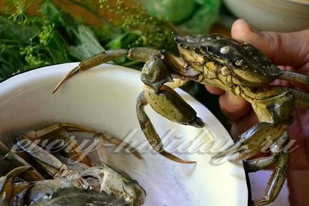 Cum se prepară crabi din Marea Neagră