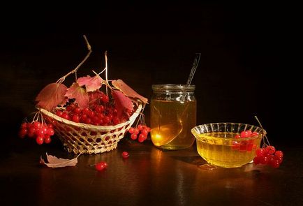 Калина з медом - корисні властивості, способи приготування і прийому