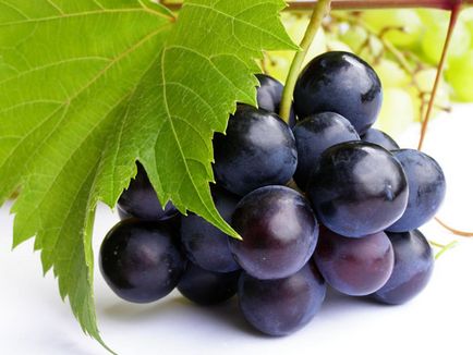 Компот з винограду на зиму, виноградний компот - рецепти і способи приготування