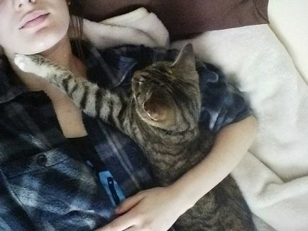 Cat őrülten szerelmes szeretője, sok ölelést és követi őt bárhova ment (cat) Cat őrülten szerelmes szeretője, sok ölelést és követi őt bárhova ment