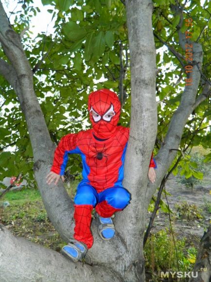 Spiderman sau Costum Spiderman