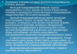 Крем Гінофорт від молочниці властивості і застосування