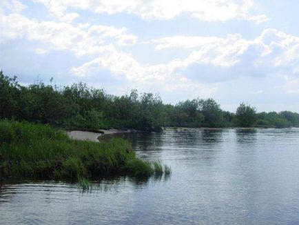 Kubenskoe езеро, Вологодска област описание, особено риболов и коментари