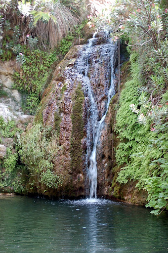 Piscina Adonis lângă patos