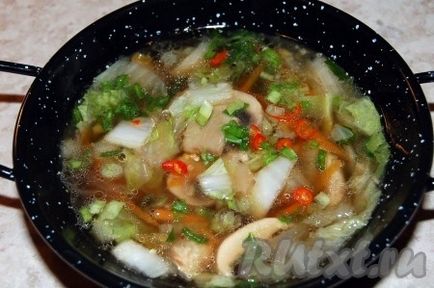Supă de pui cu ciuperci și varză chineză - rețetă cu fotografie