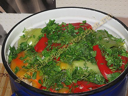 Квашення, маринування та соління овочів в домашніх умовах