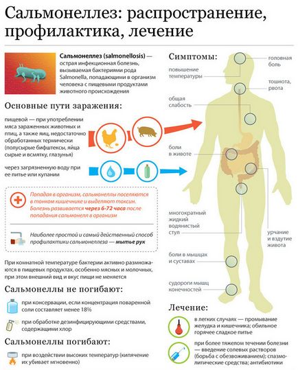 Лікування і профілактика сальмонеллезной інфекції, meddoc