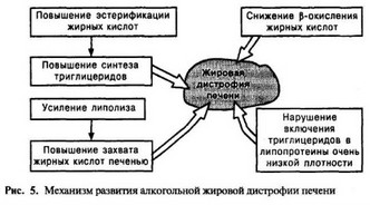 Лекція 21 спирт етиловий