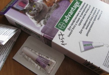 Кращі краплі від бліх для котів топ-5 препаратів і їх використання