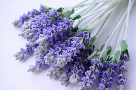 Ulei de lavanda pentru revizuiri de păr, aplicare