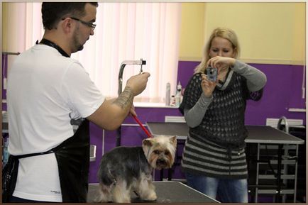 Master-clase privind tăierea câinilor - o componentă importantă a instruirii