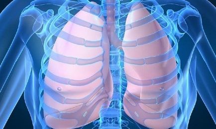 Народні засоби лікування бульозної емфіземи легенів