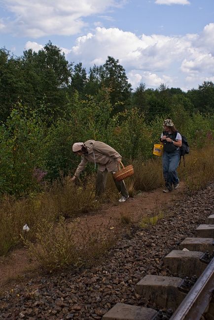 Necunoscut în faimoasele plimbări din Sankt Petersburg