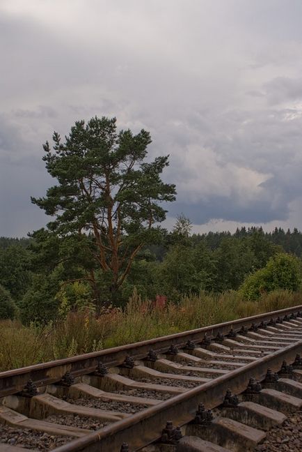 Невідоме у відомому - прогулянки по Санкт-Петербургу