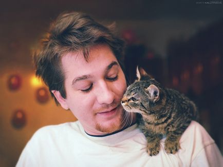 Ніжність 15 фотографій котів і їх господарів, які відчувають один до одного теплі почуття