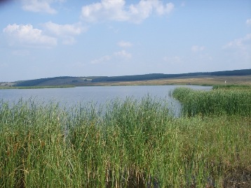 Știri - așezare rurală din Kumlyak