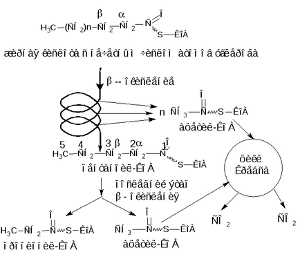 Oxidarea grăsimilor