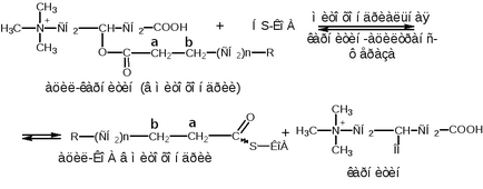 Oxidarea grăsimilor