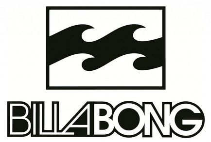 Istoria descrierii companiei wakeboard surf billabong