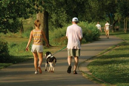 Despre beneficiile mersului cu un câine