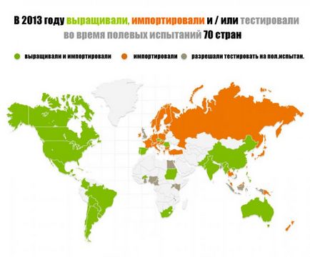 От ГМО или друга информация за тях, ГМО преглед