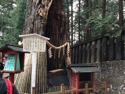 Se odihnește cu copii Nikko (Japonia) - parc național, temple, oraș - odihnă cu copii singuri