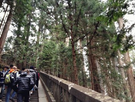 Se odihnește cu copii Nikko (Japonia) - parc național, temple, oraș - odihnă cu copii singuri