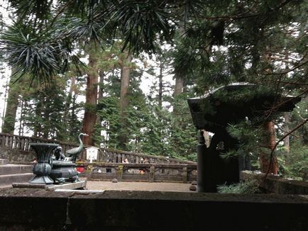 Se odihnește cu copii Nikko (Japonia) - parc național, temple, oraș - odihnă cu copii singuri