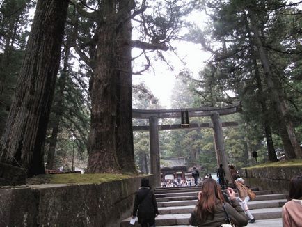 Se odihnește cu copii Nikko (Japonia) - parc național, temple, oraș - odihnă cu copii singuri