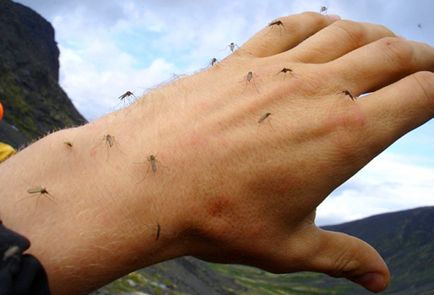 Відлякувач комарів - оптимальне рішення для відпочинку на природі