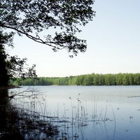 Losvido tó, folyók és tavak, látnivalók Vityebszk