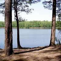 Lacul losos, râurile și lacurile, atracțiile din Vitebsk