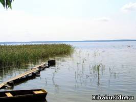 Lacul losvido, totul despre pescuit în Belarus pe