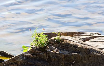 Lacul Tiberkul din regiunea Krasnoyarsk, minunile naturii