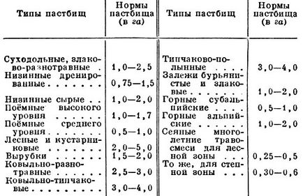 пасовищне утримання