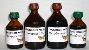 Utilizarea moliei de albine a larvelor de molii de ceară în medicina populară, tratamentul cu tinctură și
