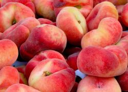 Плоскі персики - користь і шкода