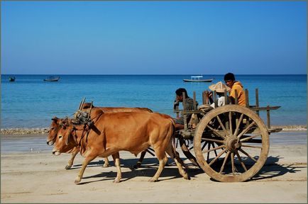 Plaja ngapali din Myanmar