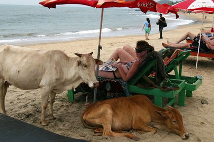 Beach fotografii sacrificare sacrificare a turiștilor, care pot fi găsite pe orice plajă, prima femeie