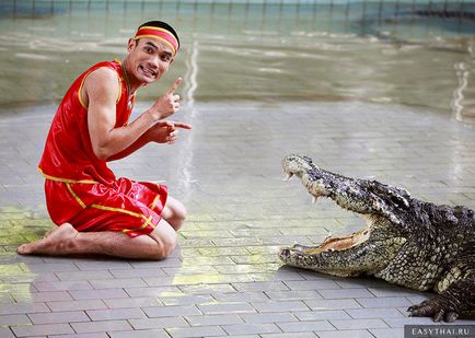 Miért thai emberek nem félnek, hogy a fejét a krokodil szájába