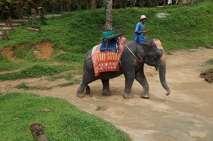 De ce toată lumea îi place Thailanda