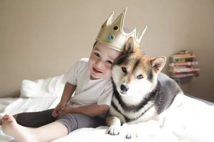 Переваги собаки для дитини